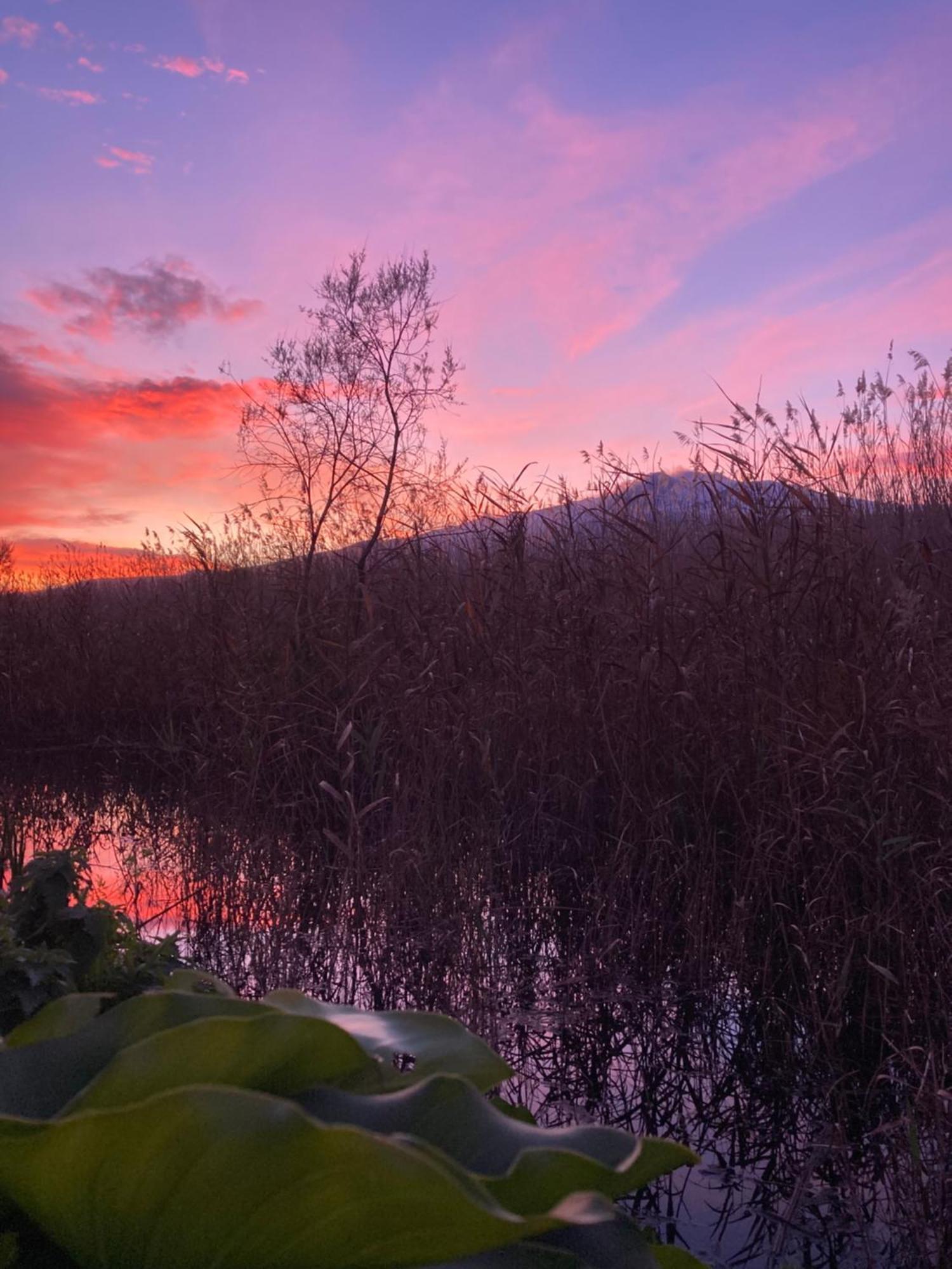 Villa Con Piscina Esclusiva Vista Etna มาสคาลิ ภายนอก รูปภาพ