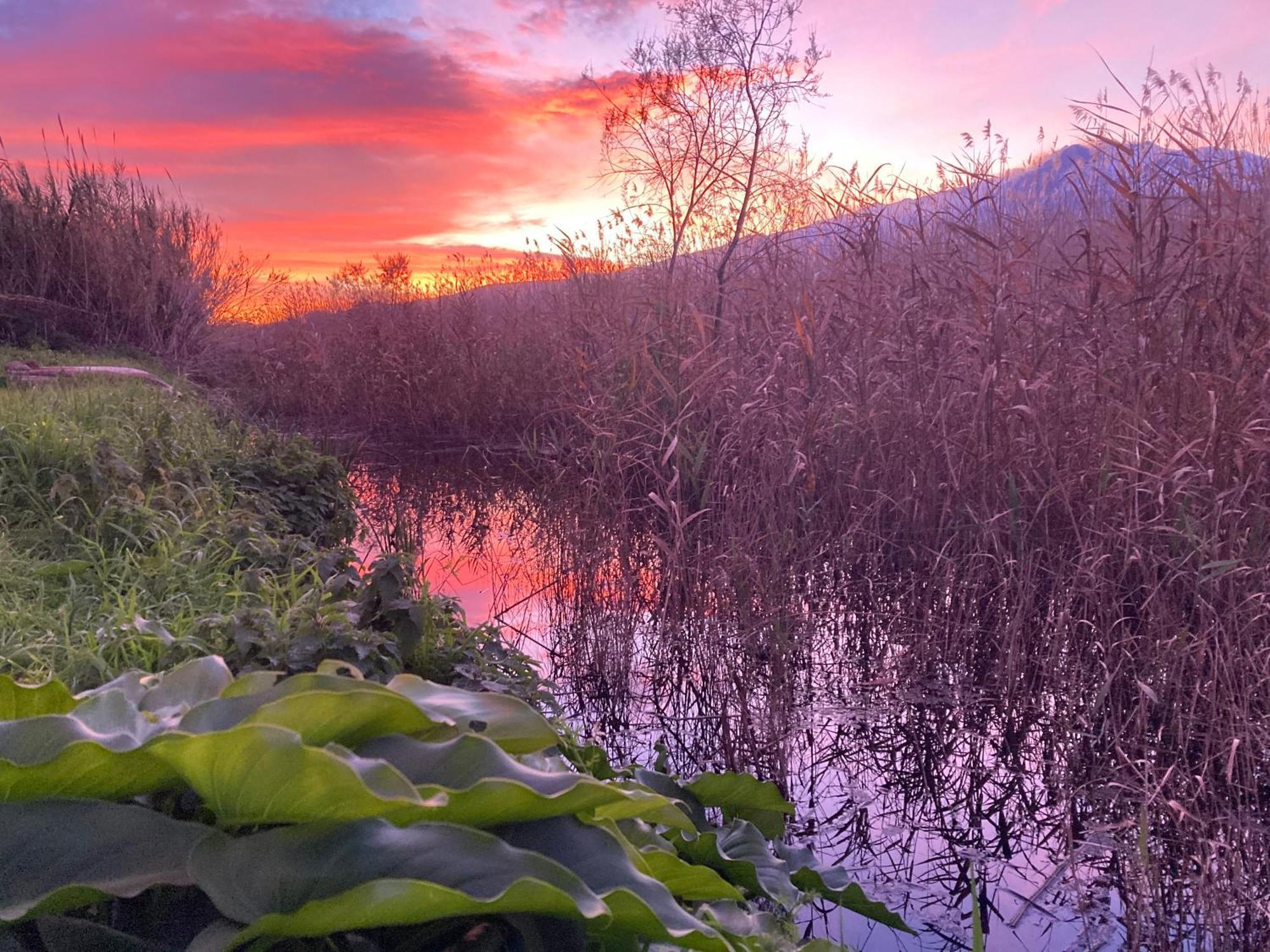 Villa Con Piscina Esclusiva Vista Etna มาสคาลิ ภายนอก รูปภาพ