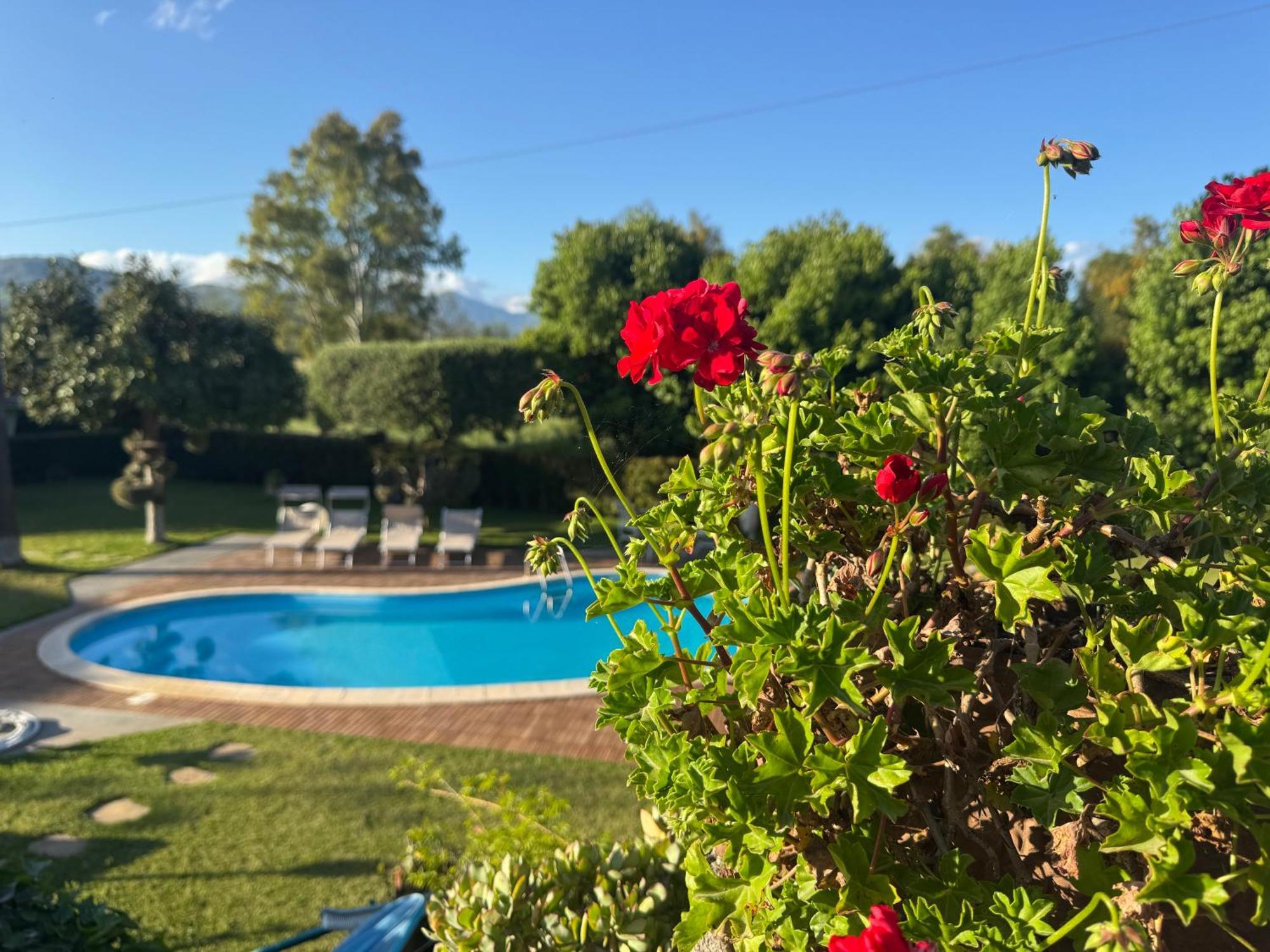 Villa Con Piscina Esclusiva Vista Etna มาสคาลิ ภายนอก รูปภาพ